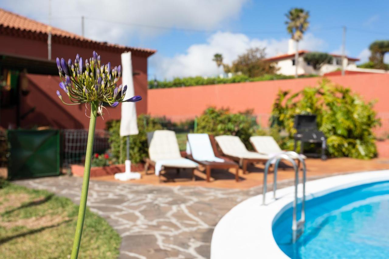 Home2Book Luxury Villa Luna De Tacoronte Pool لا لاغونا المظهر الخارجي الصورة